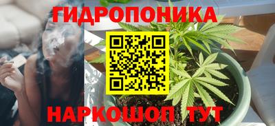 spice Партизанск