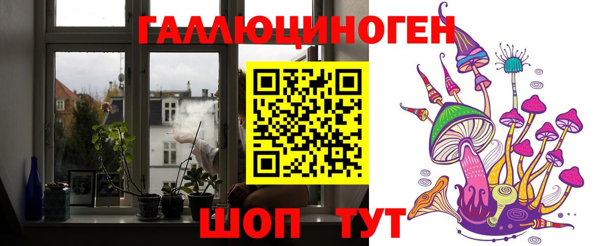 Псилоцибиновые грибы GOLDEN TEACHER Россия